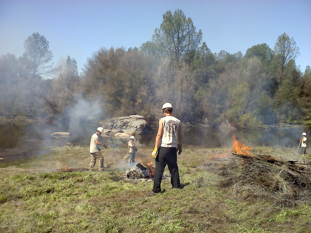 ACE and AmeriCorps at work